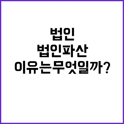 법인 파산 감소세의 진짜 이유는 무엇일까?