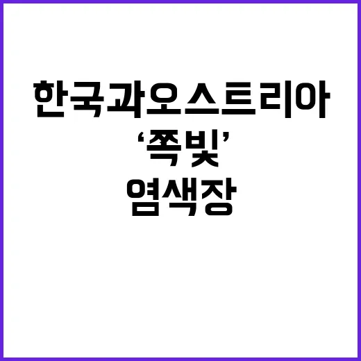 ‘쪽빛’ 염색장 한국과 오스트리아의 아름다움 전시!