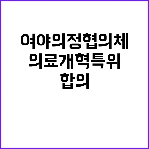 의료개혁특위 여야의정협의체 합의 사실 부인!