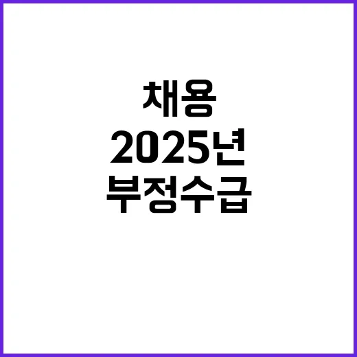 (보훈 제한경쟁) 2025년 기간제 근로자(부정수급 모니터링) 채용 공고