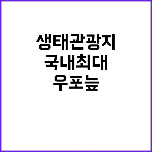 우포늪 국내 최대 생태관광지의 숨은 매력 공개!