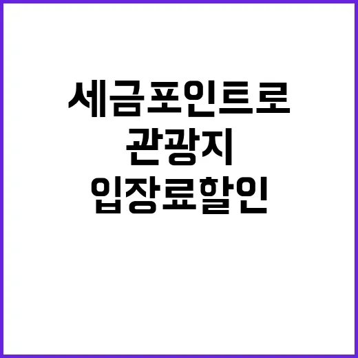 세금포인트로 관광지…