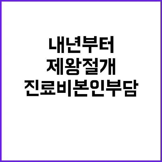 제왕절개 진료비 본인부담 내년부터 무료!