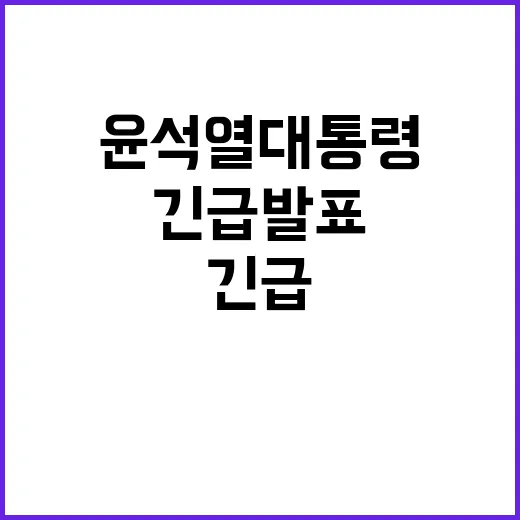 윤석열 대통령 긴급 발표 국민의 궁금증 해결!