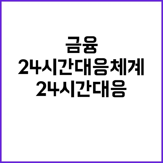 금융 안정세 24시간 대응체계 & 대외신인도 강화!