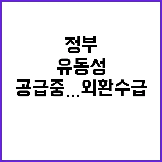 정부 유동성 공급 중…외환수급 개선안 곧 발표!