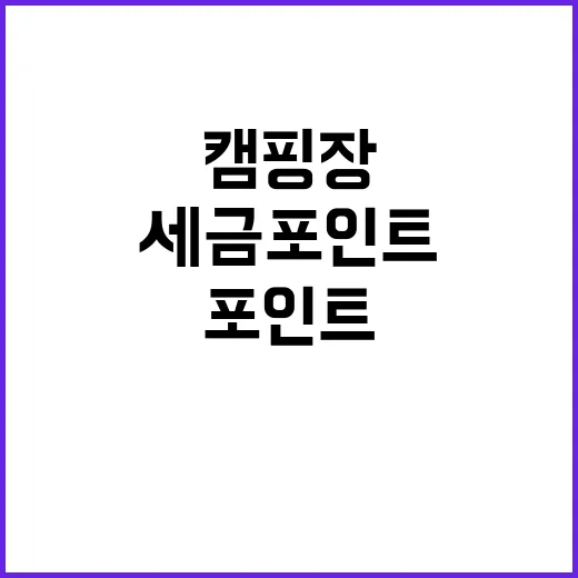 세금포인트 캠핑장 할인 가능성 공개!