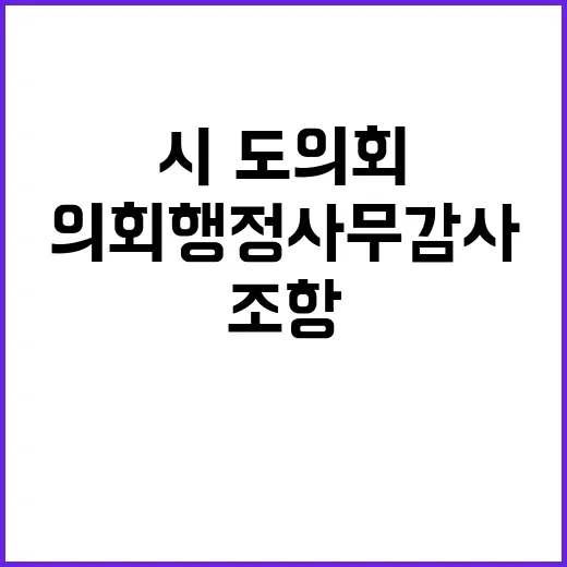 행안부 “시·도의회…