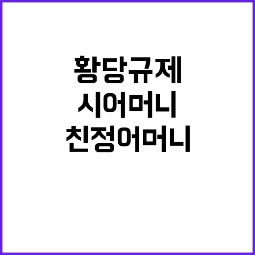 황당 규제 시어머니…