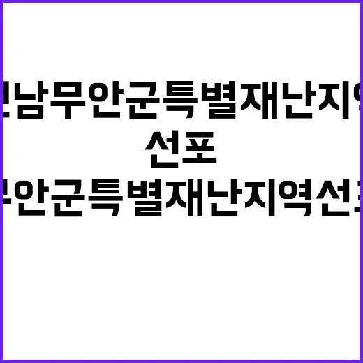 전남 무안군 특별재…