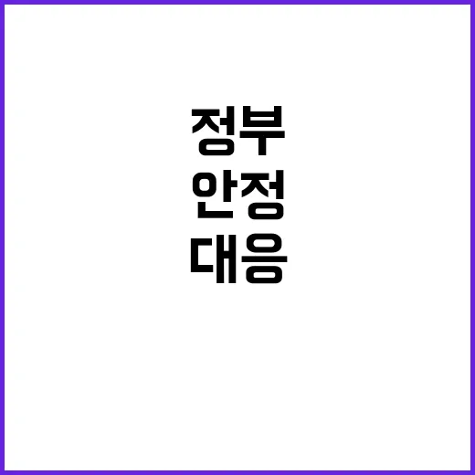 금융 안정 정부의 …