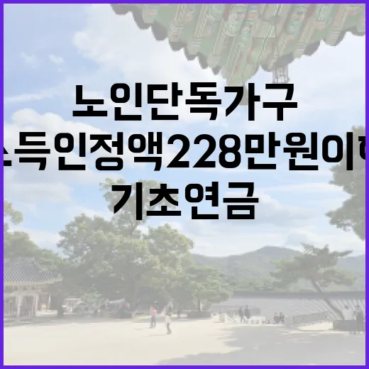 기초연금 노인 단독가구 소득인정액 228만원 이하!