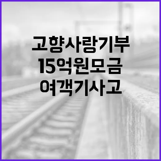 고향사랑기부 15억원 모금 성과와 여객기 사고!