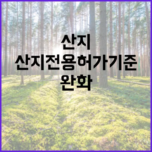 산지전용 허가 기준 완화 인구감소지역에 혜택!