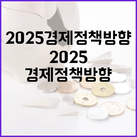 2025 경제정책방…