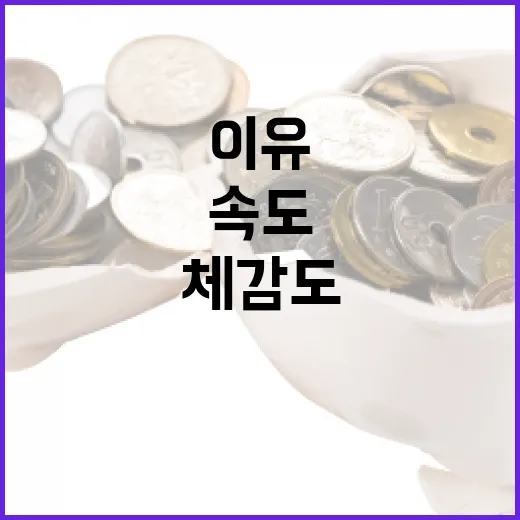 속도와 체감도 지금 가장 중요한 이유는?