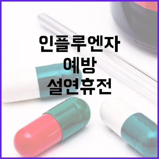 인플루엔자 예방 설 연휴 전에 꼭 하세요!