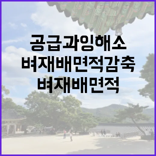 제목 공급과잉 해소 위한 벼 재배면적 감축 발표!