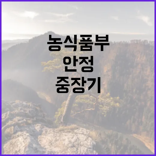 딸기 가격 안정 농식품부 중장기 생산 증가 예고!