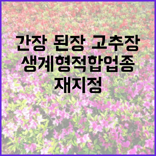 간장·된장·고추장 생계형 적합업종 재지정 발표!