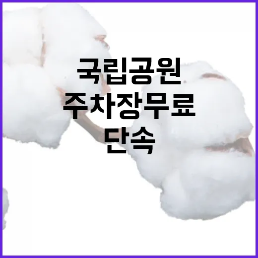 국립공원 주차장 무료 개방 단속 강화 소식!