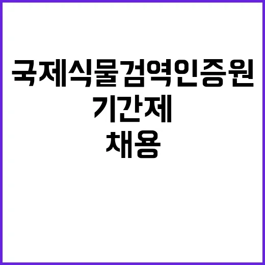 2025년 상반기 신규직원 및 사업단 기간제근로자 채용계획 공고