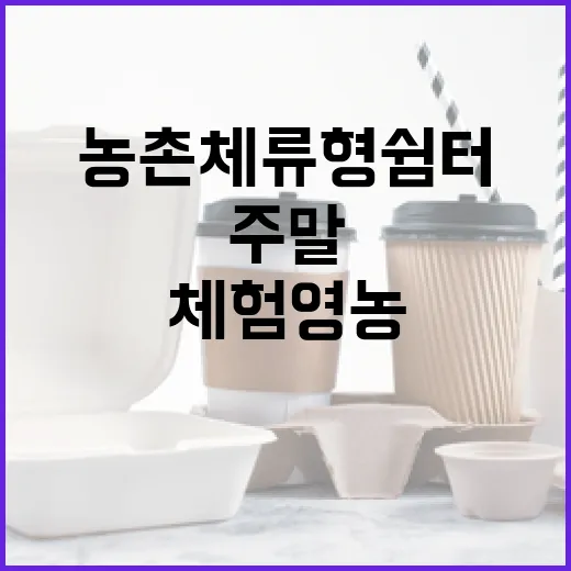 농촌체류형 쉼터 주말 체험영농 새 기회!