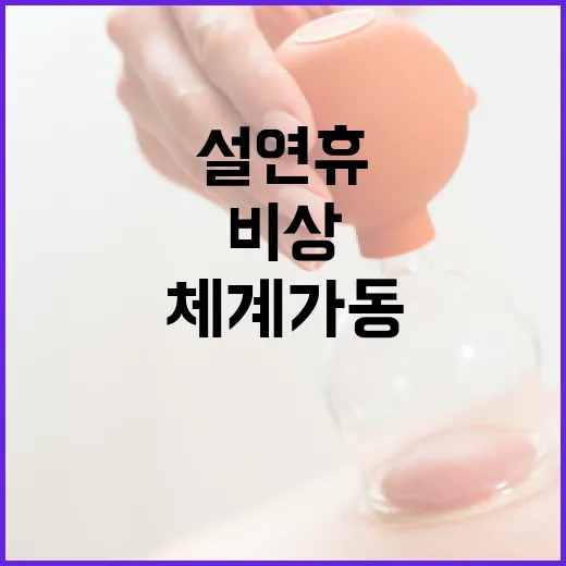 설 연휴 응급실 24시간 운영과 비상체계 가동!