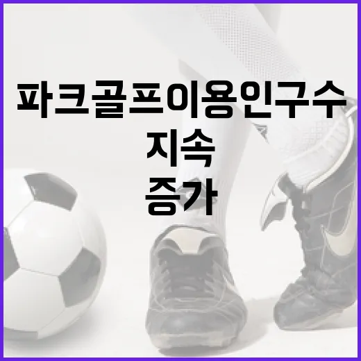 파크골프 이용 인구수 지속 증가 추세 확인!