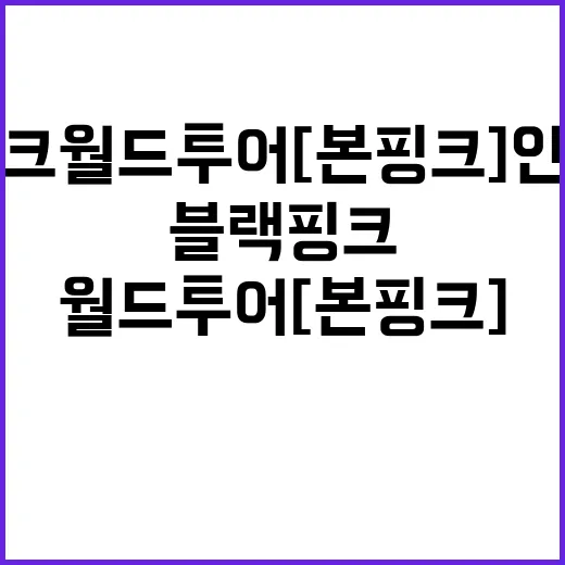 블랙핑크 월드투어 [본 핑크] 인 시네마