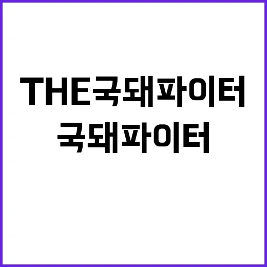 THE 국돼 파이터…