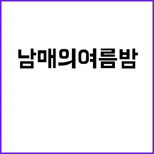 남매의 여름밤