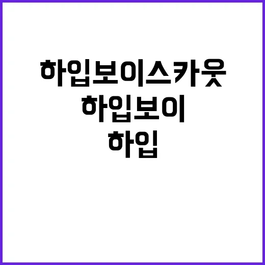 하입보이스카웃