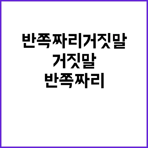 반쪽짜리 거짓말 진…