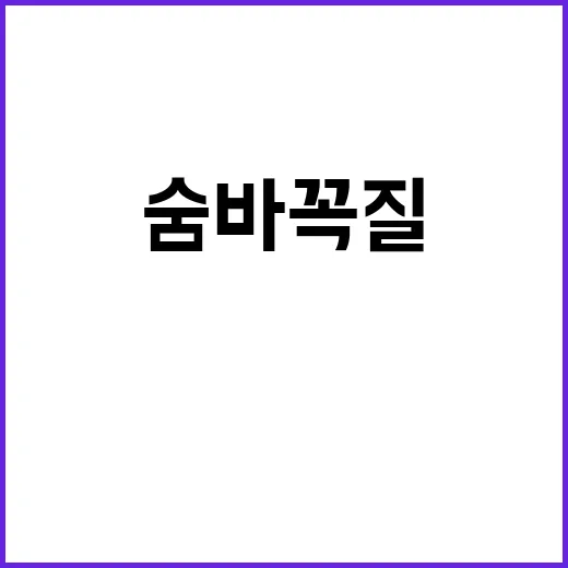 숨바꼭질 영화 관람…