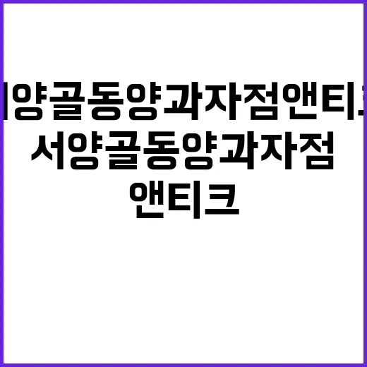 서양골동양과자점 앤티크