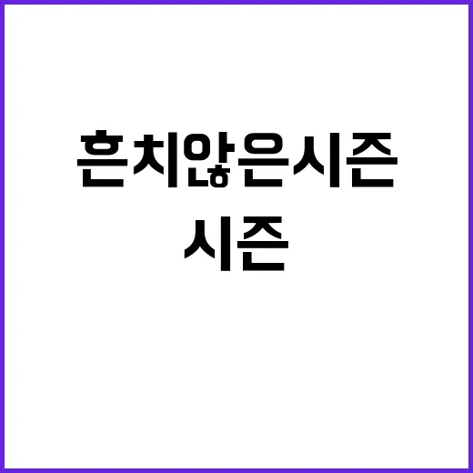 흔치만 흔치않은 시즌2