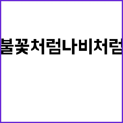 불꽃처럼 나비처럼 …