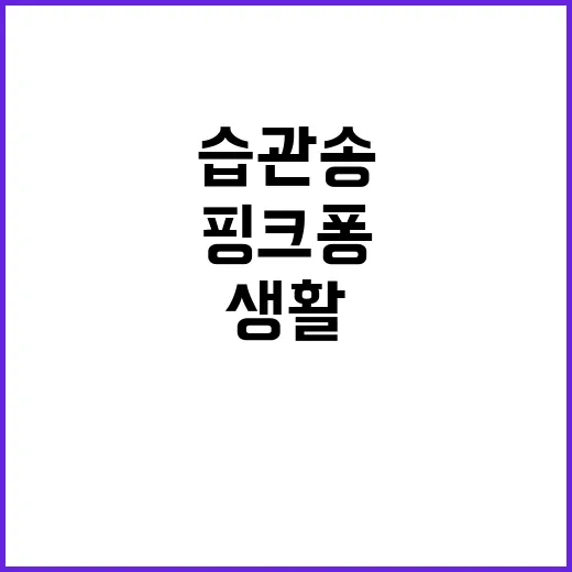 핑크퐁 생활습관송