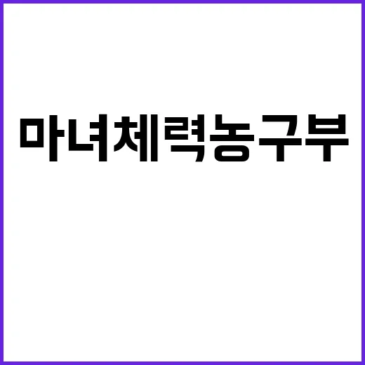 마녀체력 농구부