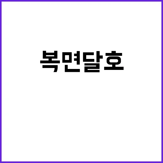 복면달호 등장인물 …