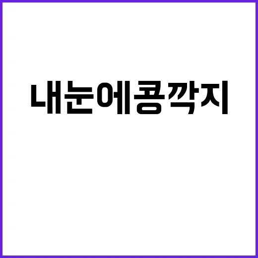 내 눈에 콩깍지