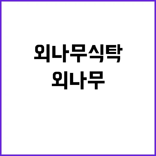 외나무 식탁 이야기…