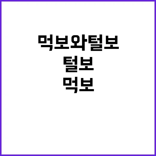 먹보와 털보