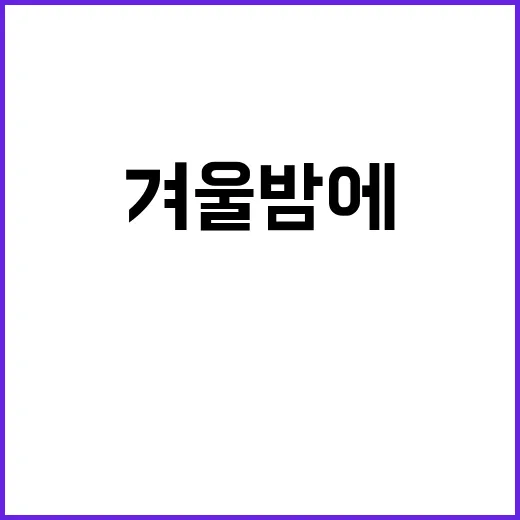 겨울밤에 눈 내리는…