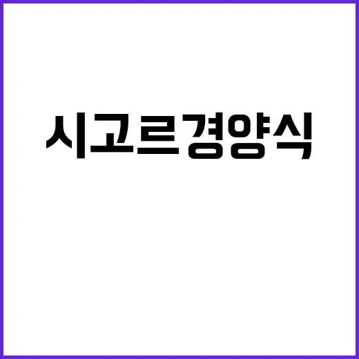 시고르 경양식