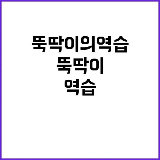 뚝딱이의 역습