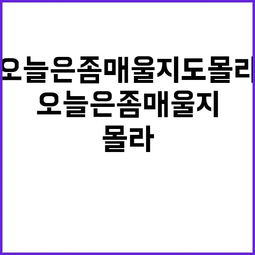 오늘은 좀 매울지도 몰라