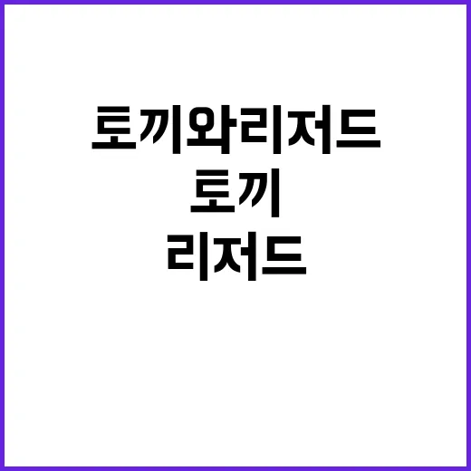 토끼와 리저드 이야…