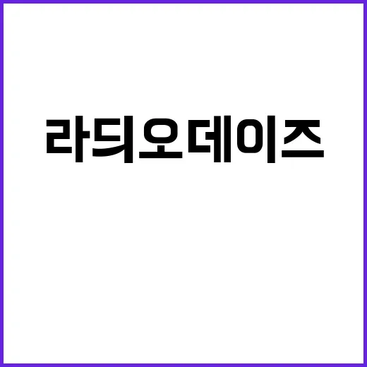 라듸오 데이즈 감동…